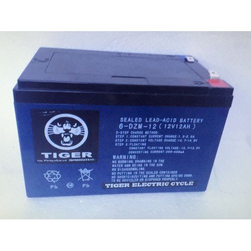 sepeda listrik tiger accu 