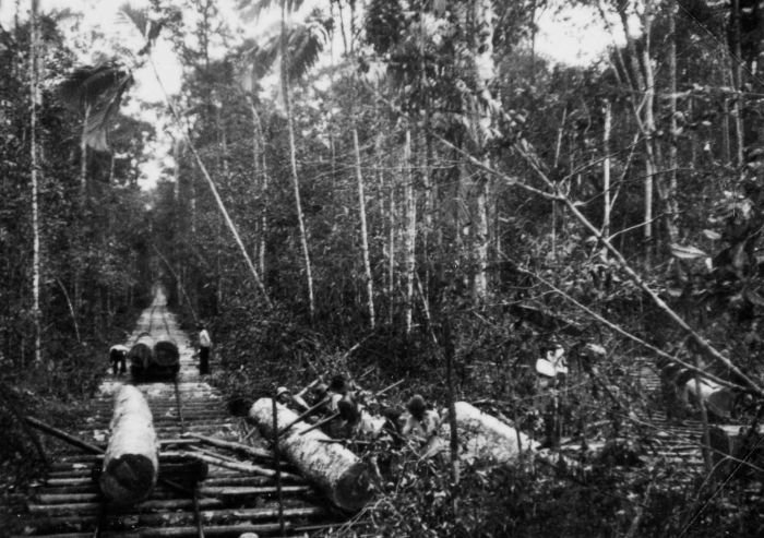 daerah penghasil kayu jati di Indonesia sejarah
