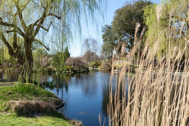 Queen Mary's Garden