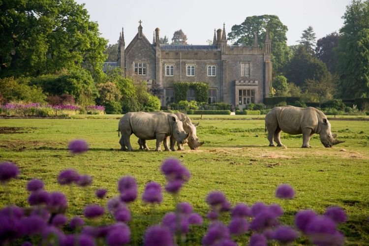tempat wisata di inggris the cotswolds