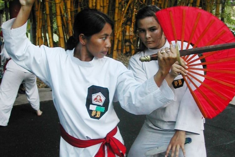 senjata pencak silat kipas