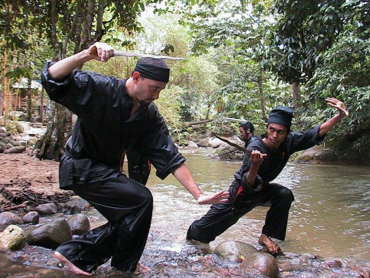 7 Teknik Dasar Pencak Silat Beserta Gambarnya Dan Video