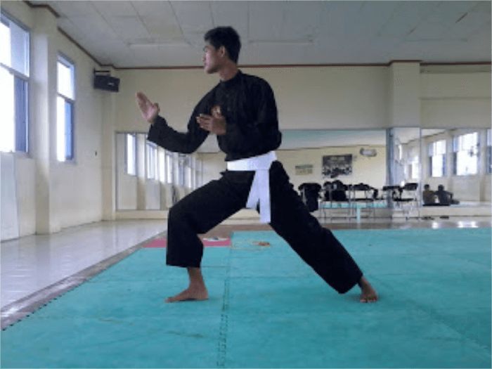 7 Teknik Dasar Pencak Silat Beserta Gambarnya Dan Video