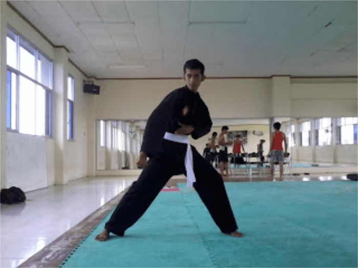 7 Teknik Dasar Pencak Silat Beserta Gambarnya Dan Video