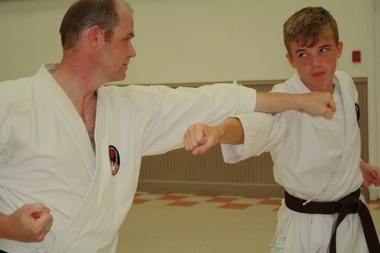 tingatan sabuk karate cokelat 