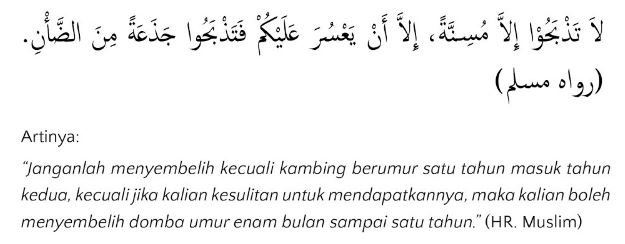 hukum qurban