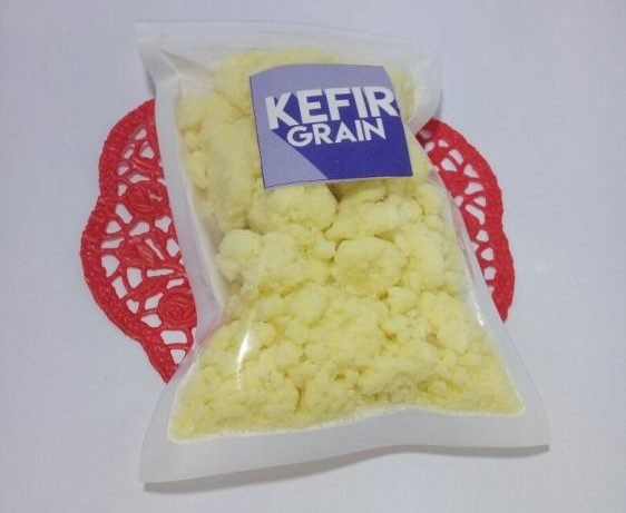 jual bibit masker kefir