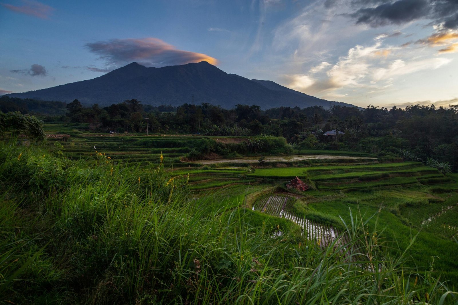 Cara Membuat Molen Aneka Rasa yang Mudah dan Praktis